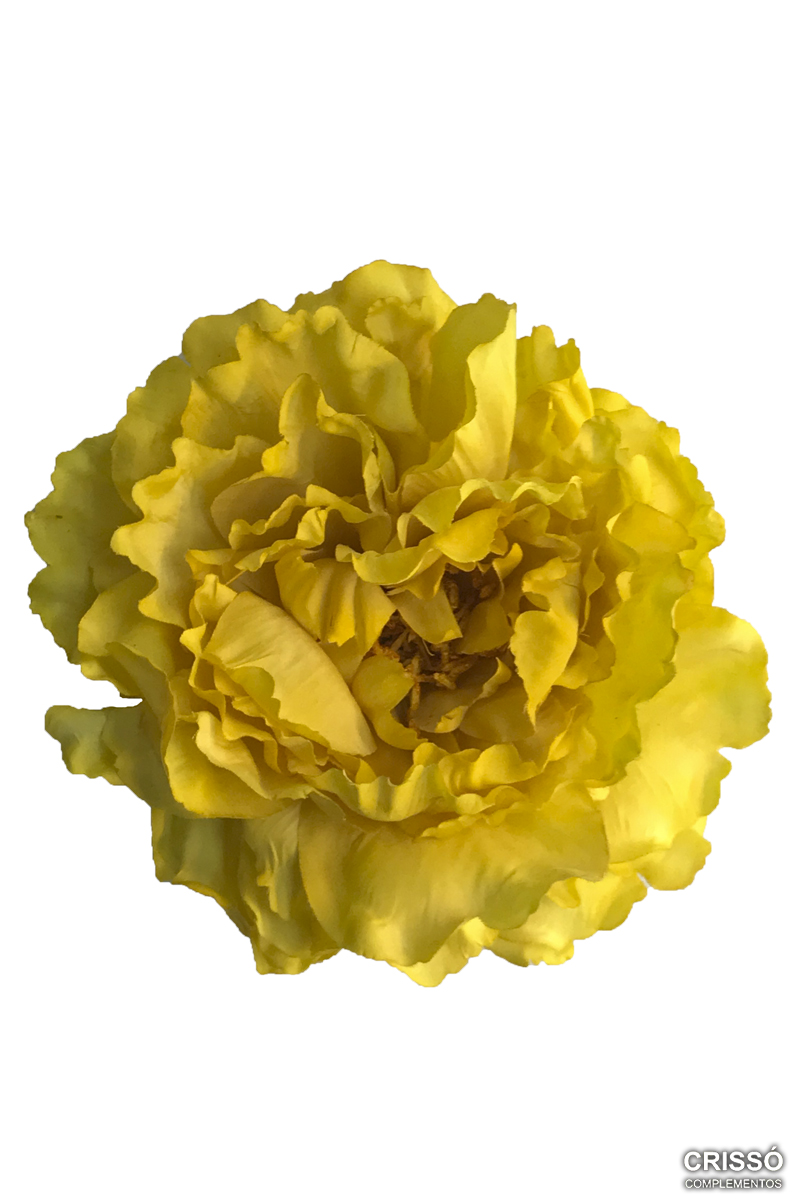 Flor peonía amarilla