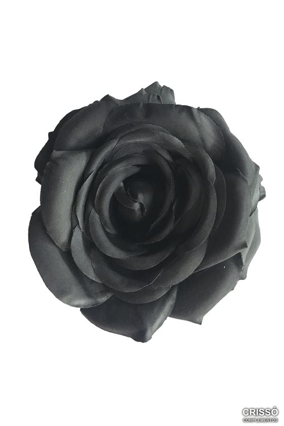 Flor Rosa Negra