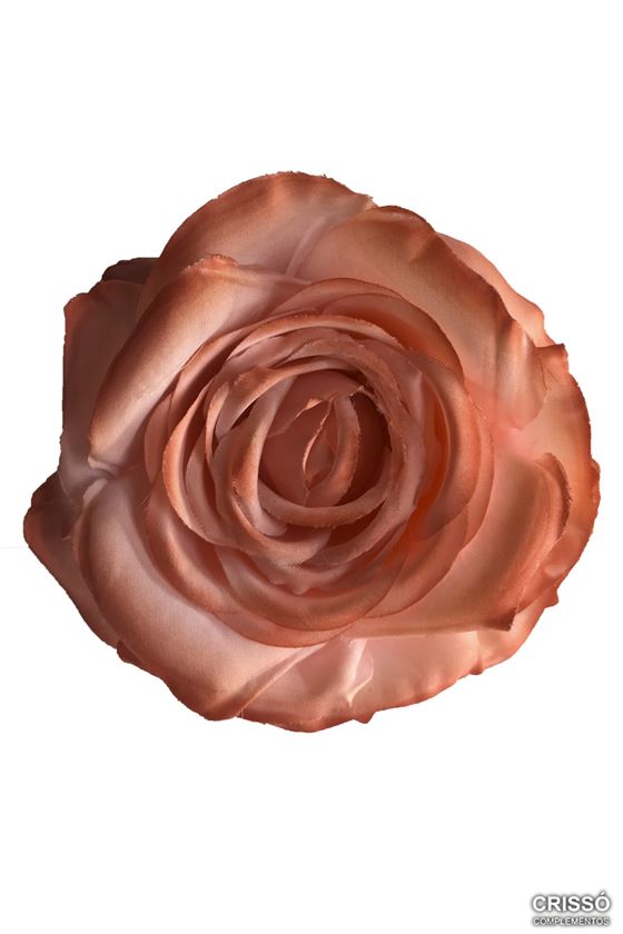 Flor Rosa Salmón